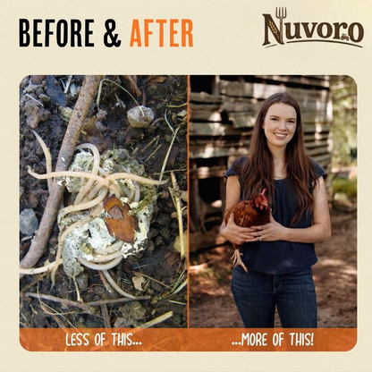 Nuvoro Daily Defense