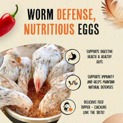 Nuvoro Daily Defense
